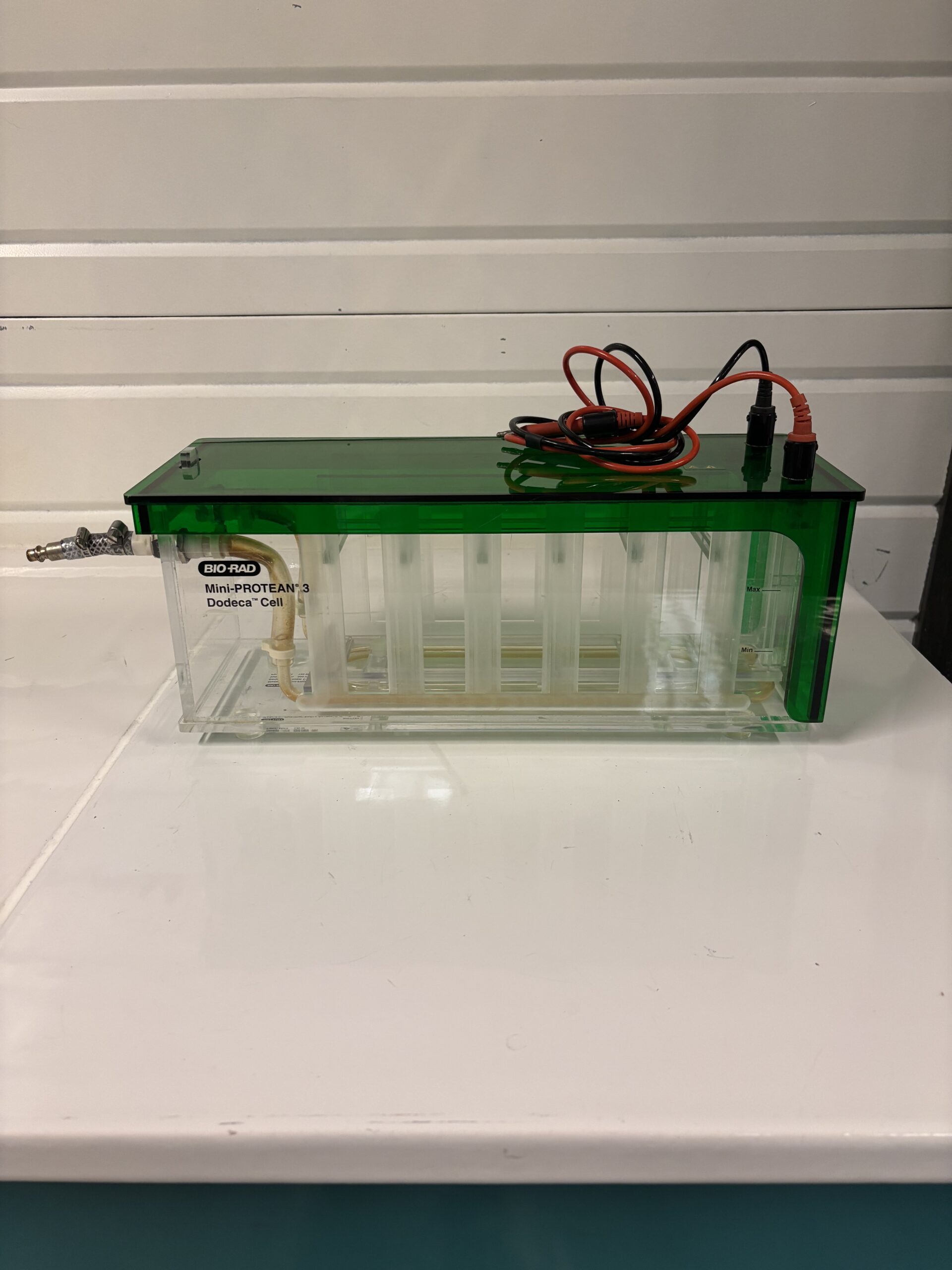 Biorad d'électrophorèse DODECAL CELL Occasion