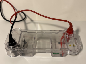 Biorad Electrophorèse Mini sub-cell GT Occasion