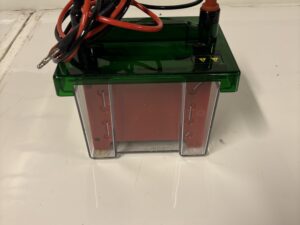 BIO-RAD Petit bac électrophorèse Mini Trans-Blot Cell Occasion