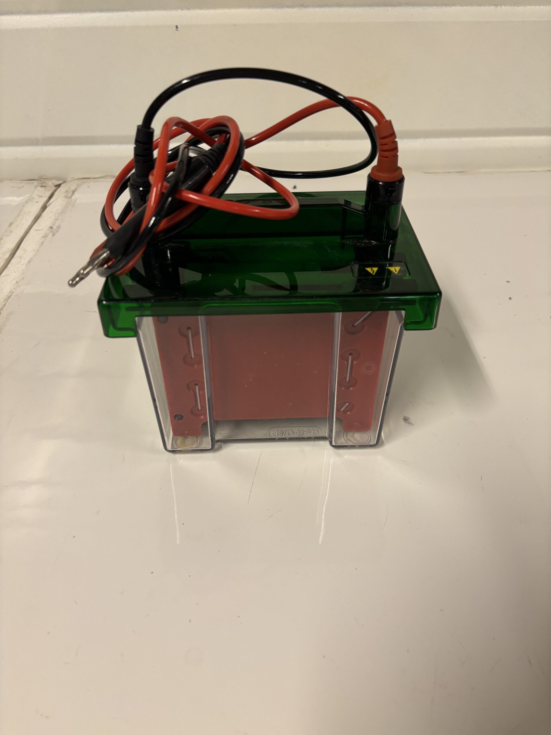 BIO-RAD Petit bac électrophorèse Mini Trans-Blot Cell Occasion