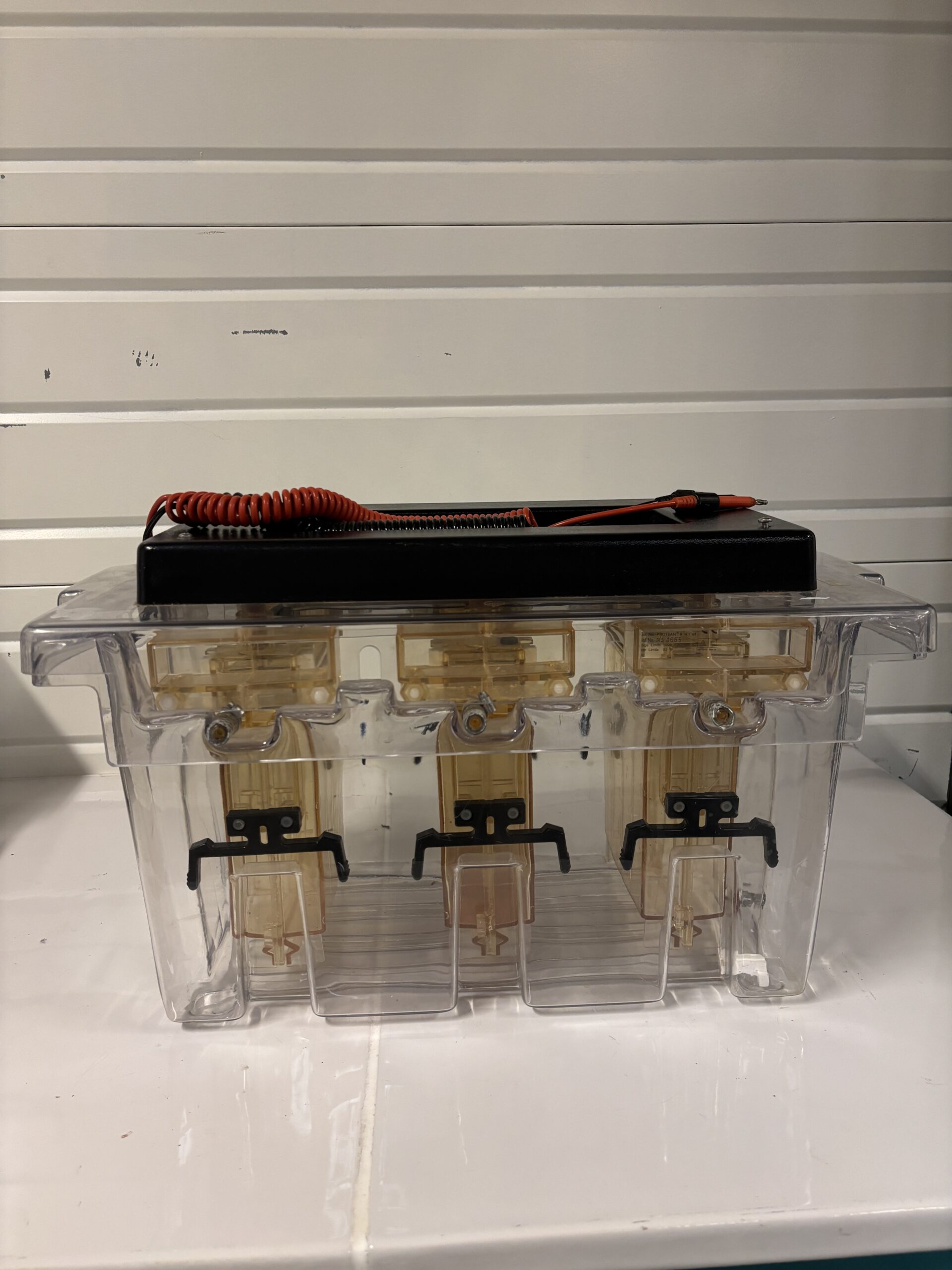 BIO-RAD bac électrophorèse PROTEAN II xi Multi-Cell Occasion